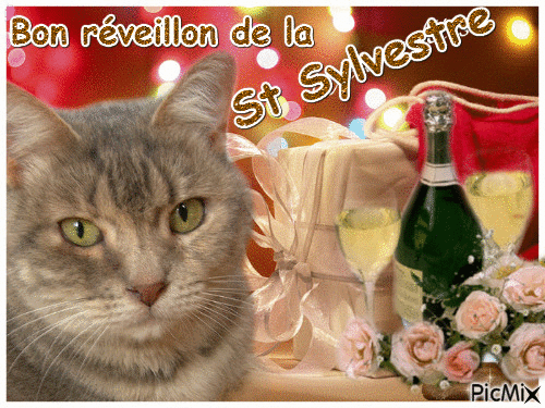 Résultat de recherche d'images pour "images bon réveillon de la saint sylvestre chats"